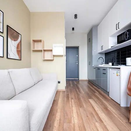 Poznanska Comfy Apartment *